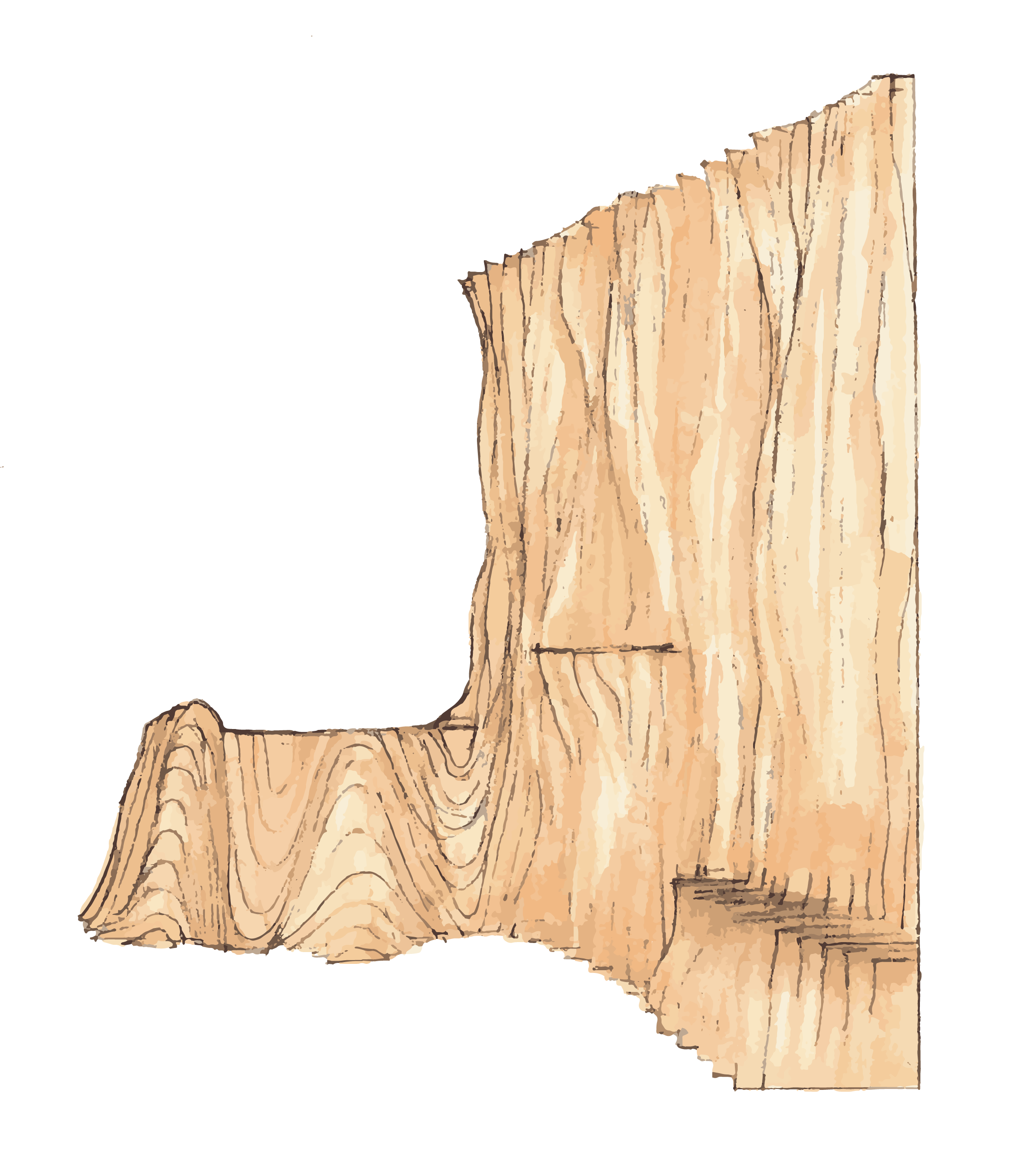 Sketch1
